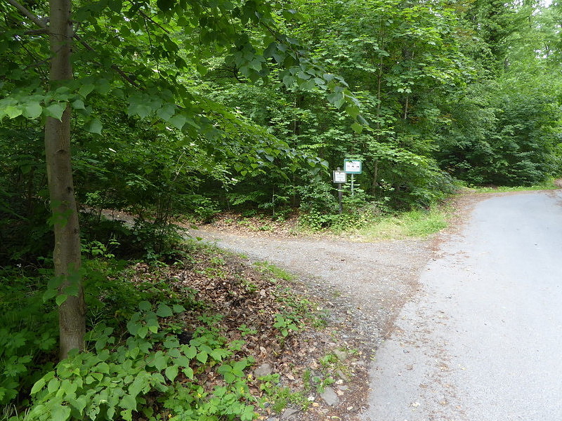 Bild:178/299