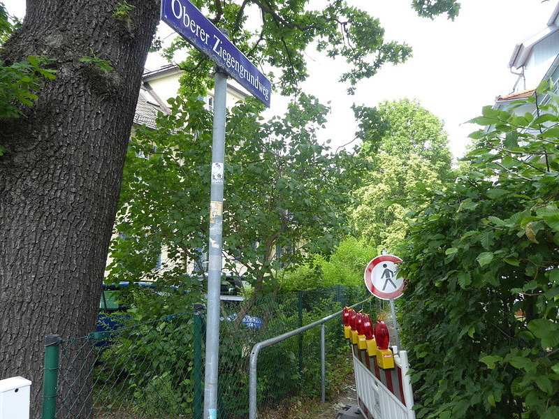 Bild:219/299
