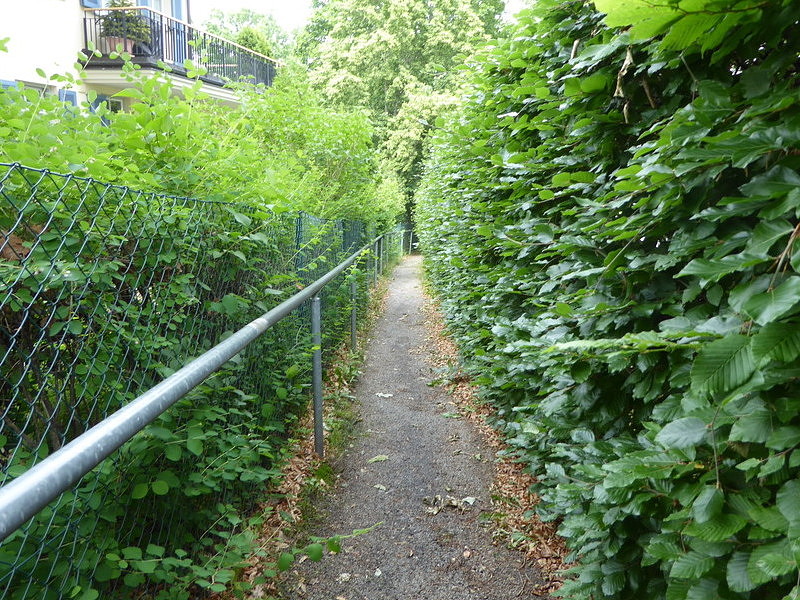 Bild:220/299