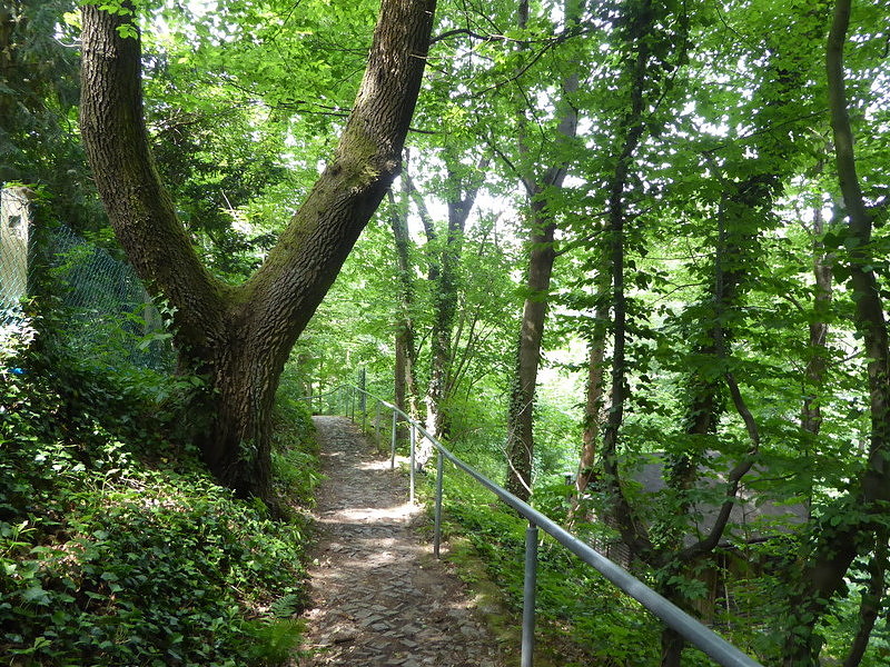 Bild:227/299