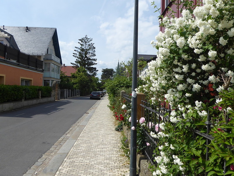Bild:282/299