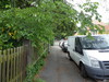 Bild:205/299