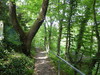Bild:227/299