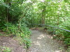 Bild:228/299