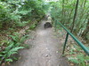 Bild:230/299