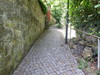Bild:240/299