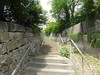 Bild:250/299