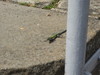 Bild:251/299