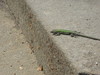 Bild:252/299