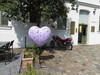 Bild:294/299