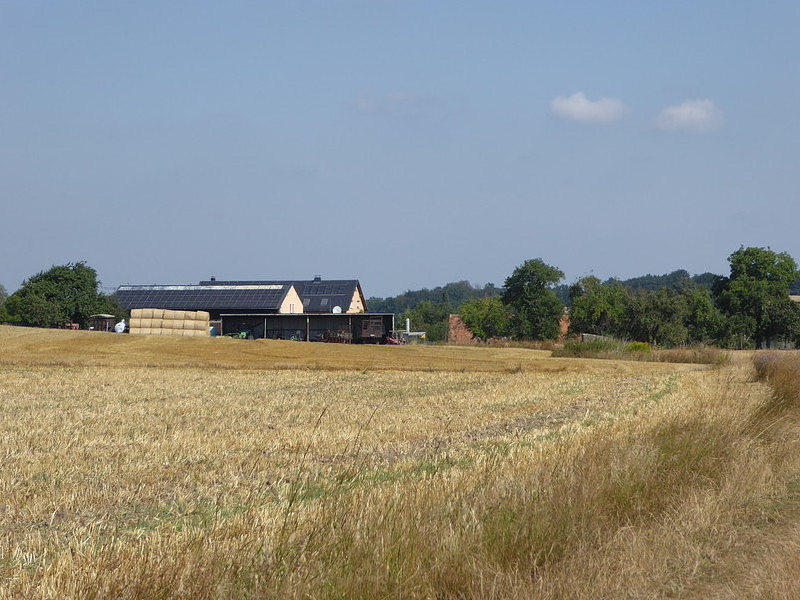 Bild:29/387