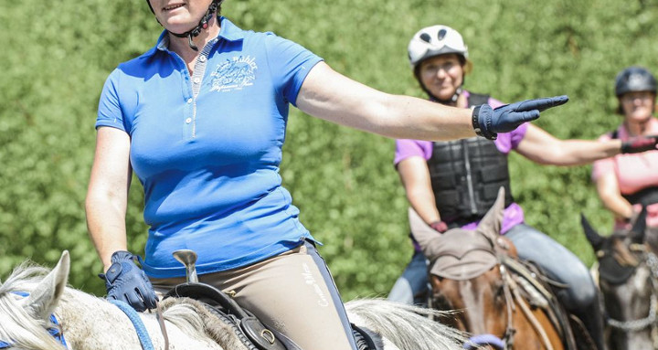 Pferde-Training gegen die Schreckhaftigkeit