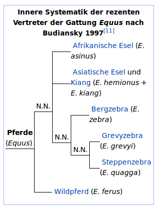 Innere Systematik der rezenten Vertreter der Gattung Equus nach Budiansky 1997