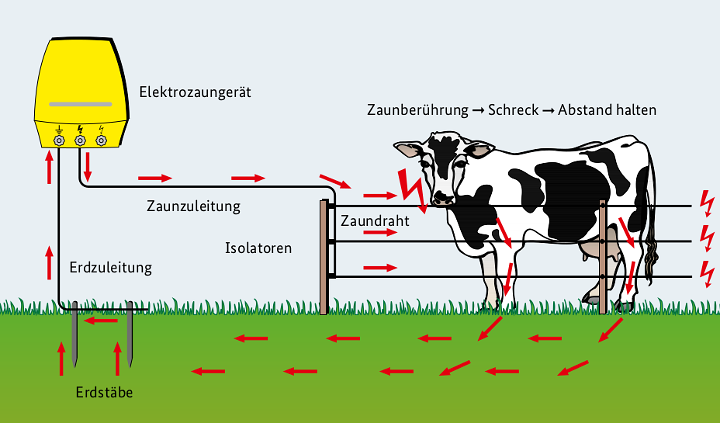 Wirkprinzip eines Elektrozaunes bei Tierberührung